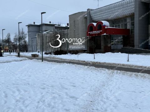 3-komnatnaya-ul-chelyuskincev-d-19 фото