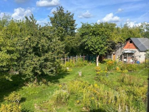 dacha-sadovodcheskoe-nekommercheskoe-tovarishhestvo-romashka-bogorodskiy-municipalnyy-okrug фото