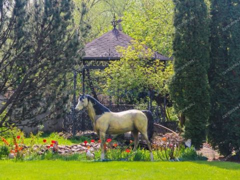 dom-ul-vishnevaya-d-10 фото