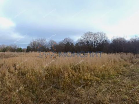 derevnya-hmelevaya-polyana-dalnekonstantinovskiy-rayon фото