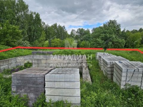 selo-redkino-gorodskoy-okrug-bor фото