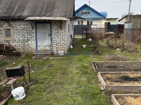 gorodskoy-okrug-bor-gorodskoy-okrug-bor фото