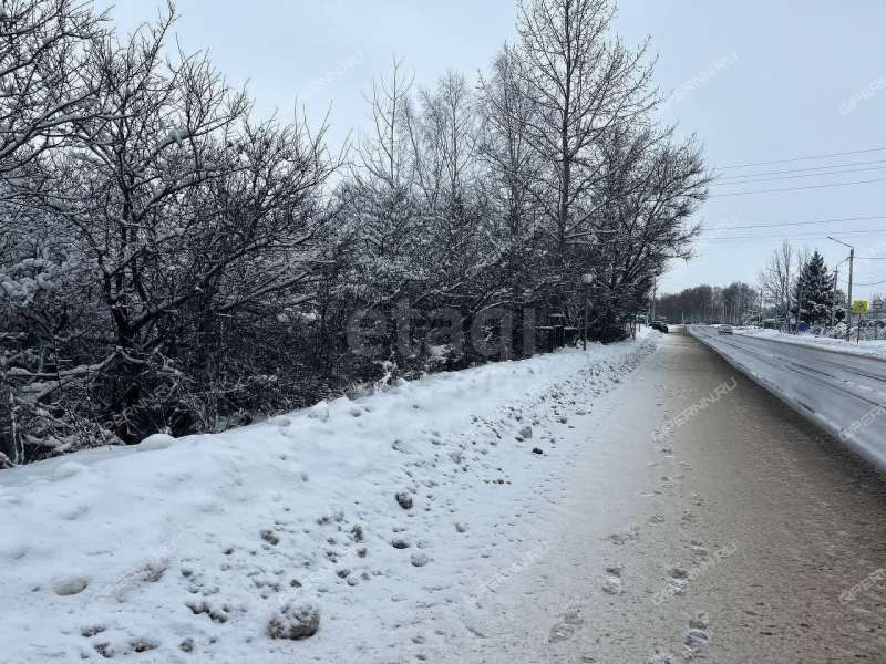 земельный участок 11,6 сотки Центральная деревня Шубино