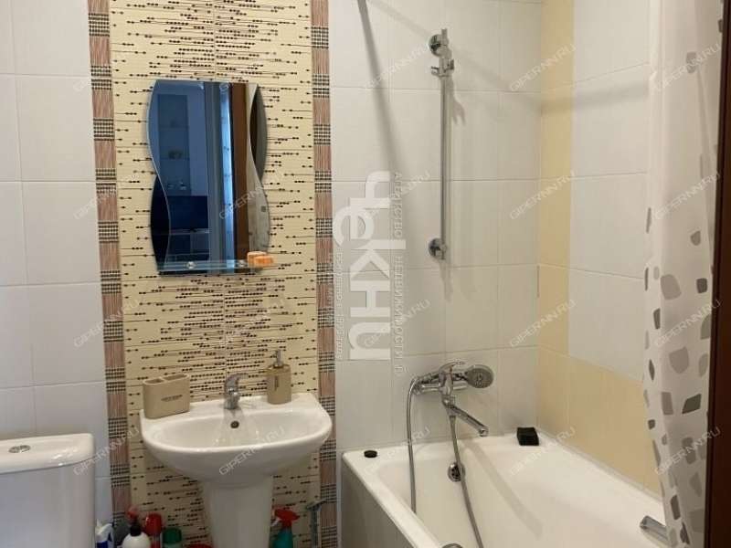 квартира-студия на улице Германа Лопатина дом 8