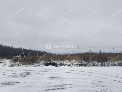 selo-bezvodnoe-kstovskiy-rayon фото