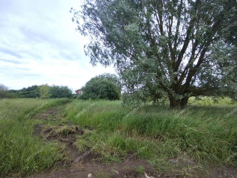 земельный участок 4 сотки Зелёная улица деревня Змейка