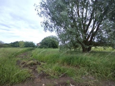 derevnya-zmeyka-gorodskoy-okrug-vyksa фото