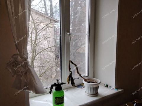 2-komnatnaya-ul-shekspira-d-6a фото