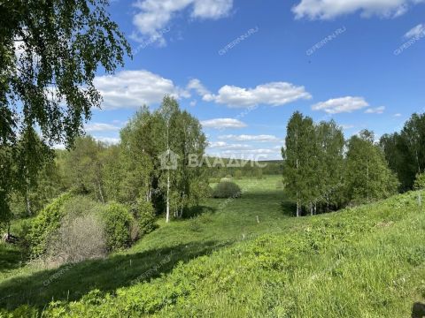 kottedzhnyy-poselok-novaya-muraviha-dalnekonstantinovskiy-rayon фото