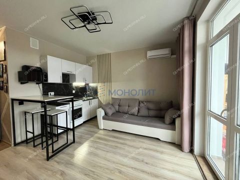 kvartira-studiya-derevnya-ankudinovka-kstovskiy-rayon фото