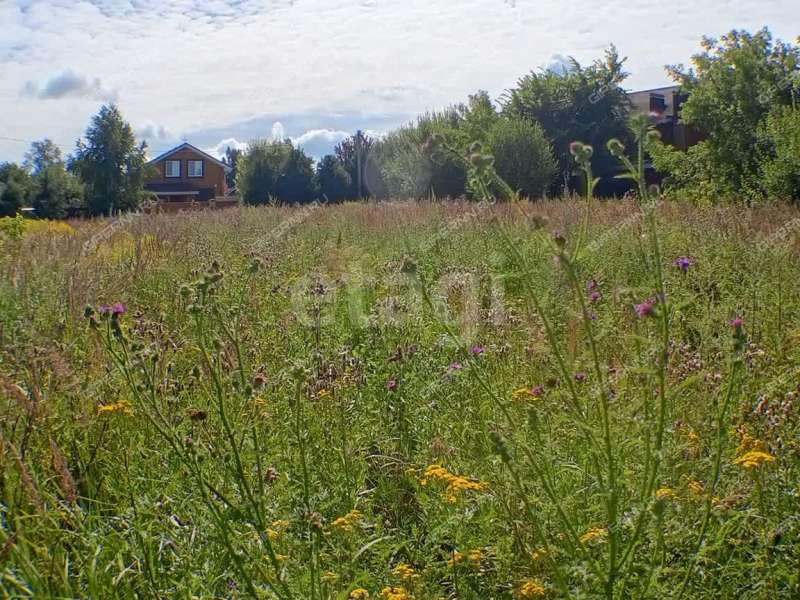 земельный участок 13,1 сотки улица Черкасский Порядок село Афанасьево