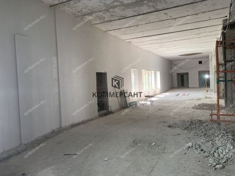 ul-shalyapina-d-2a фото