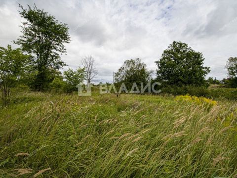 derevnya-prudy-bogorodskiy-municipalnyy-okrug фото