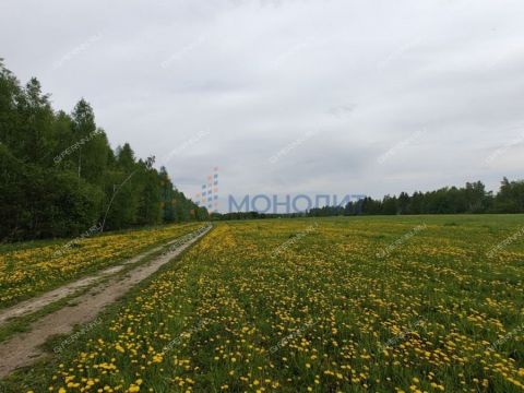 derevnya-bugry-dalnekonstantinovskiy-rayon фото