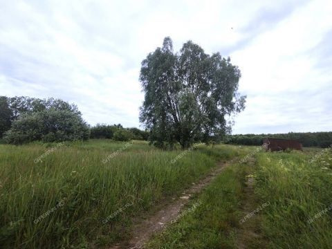 derevnya-zmeyka-gorodskoy-okrug-vyksa фото