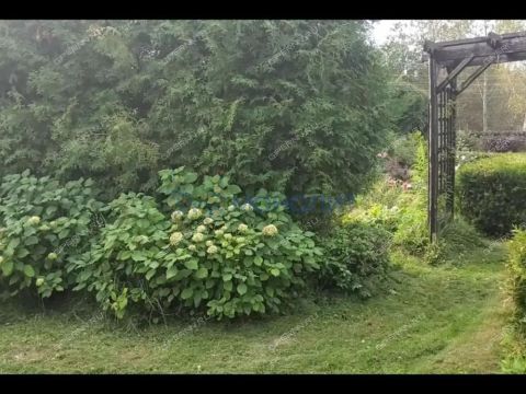 dom-derevnya-shehonka-gorodskoy-okrug-bor фото