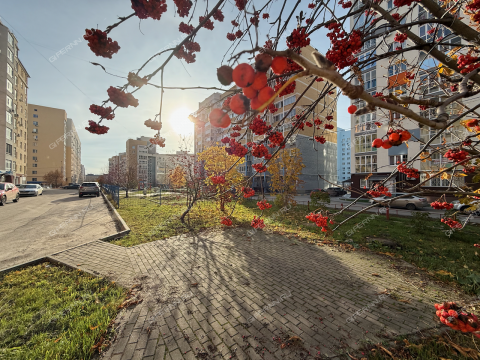 3-komnatnaya-ul-delovaya-d-22-k2 фото