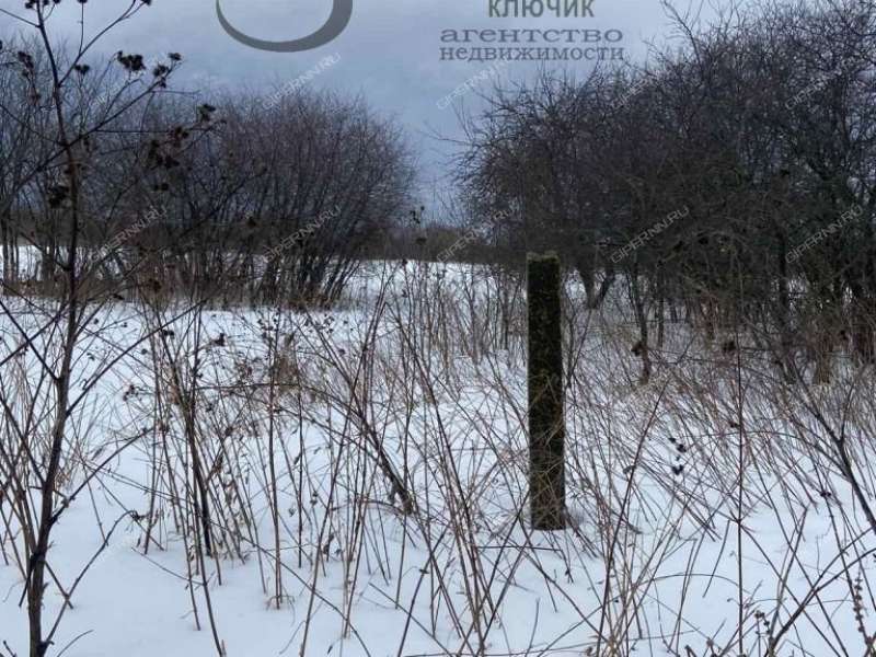 дом на Свободы село Большое Туманово