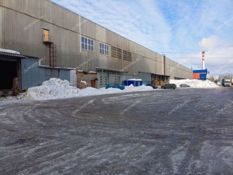 zayceva-ul-d-31 фото