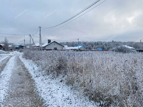 derevnya-shumilovo-bogorodskiy-municipalnyy-okrug фото