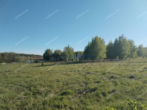 derevnya-shestovo-gorodskoy-okrug-chkalovsk фото