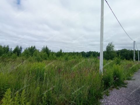 tsn-bugrov-park-dalnekonstantinovskiy-rayon фото