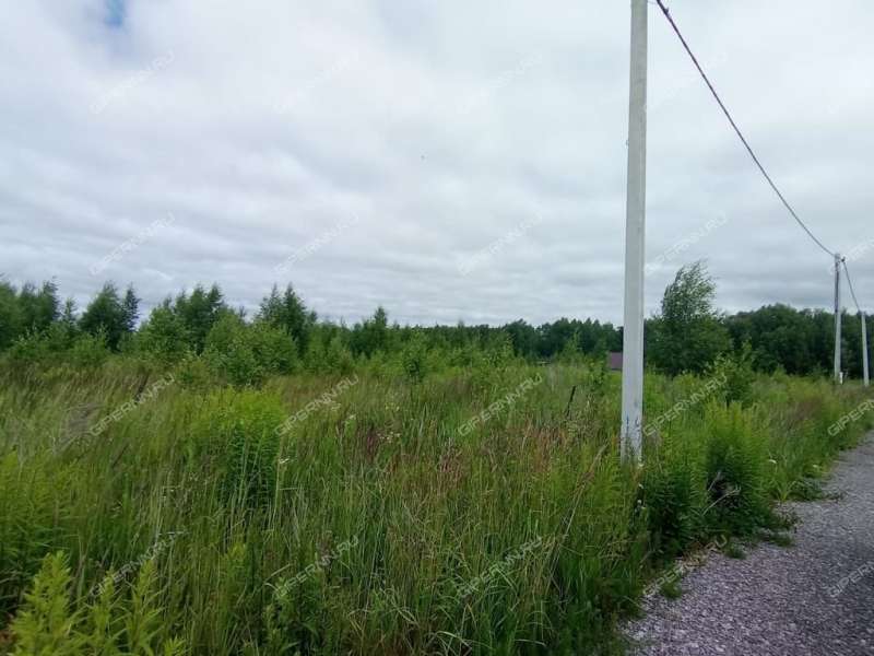 земельный участок 600 соток ТСН Бугров Парк