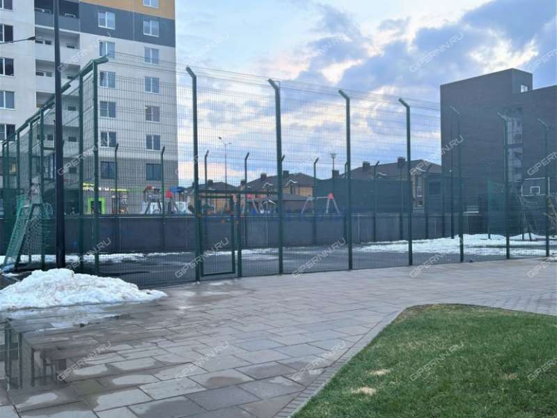 трёхкомнатная квартира на Русской улице улице дом 1 деревня Анкудиновка