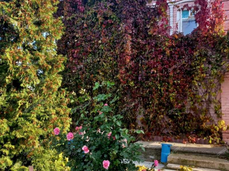 дом на улице Глебова деревня Новоликеево