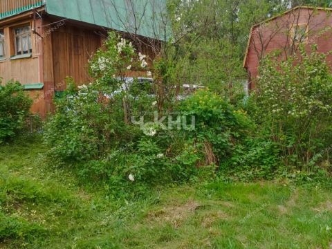 dacha-derevnya-uspene-semenovskiy-gorodskoy-okrug фото