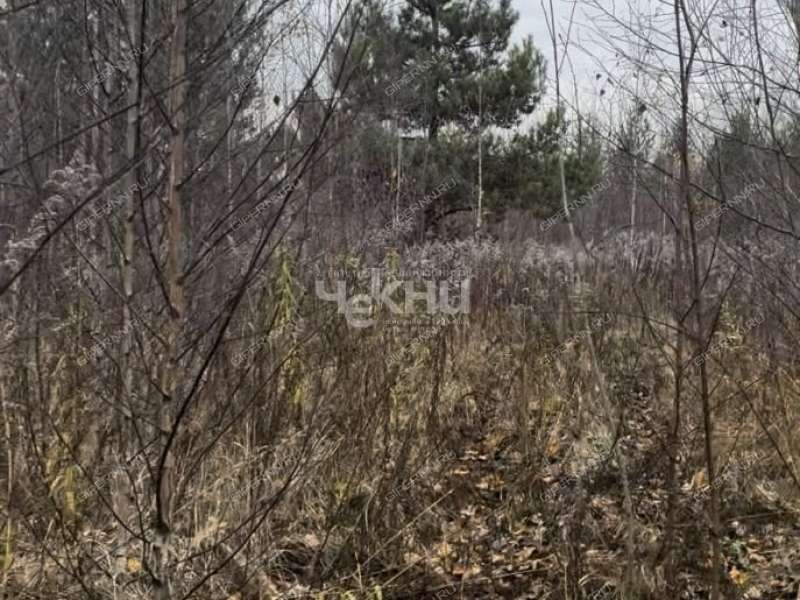 земельный участок 8,5 сотки село Безводное