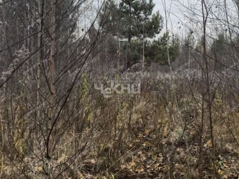 selo-bezvodnoe-kstovskiy-rayon фото