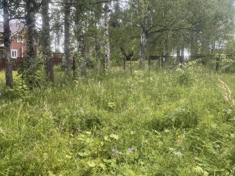 derevnya-klimotino-gorodskoy-okrug-chkalovsk фото