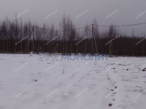 derevnya-gumnishhi-balahninskiy-municipalnyy-okrug фото