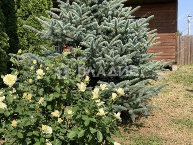 дом на 13 деревня Ройка