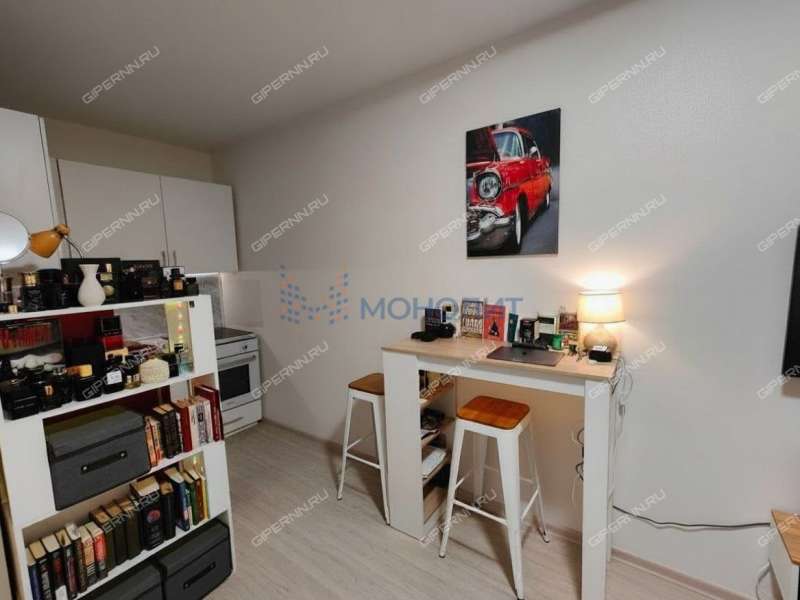 однокомнатная квартира на Черкесской улице дом 2 деревня Анкудиновка