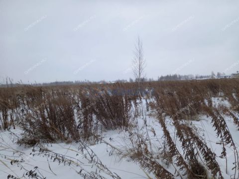 derevnya-burcevo-bogorodskiy-municipalnyy-okrug фото