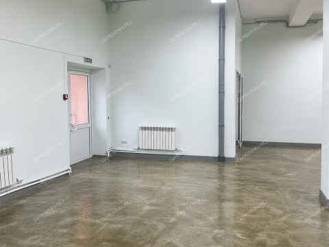 selo-kamenki-bogorodskiy-municipalnyy-okrug фото