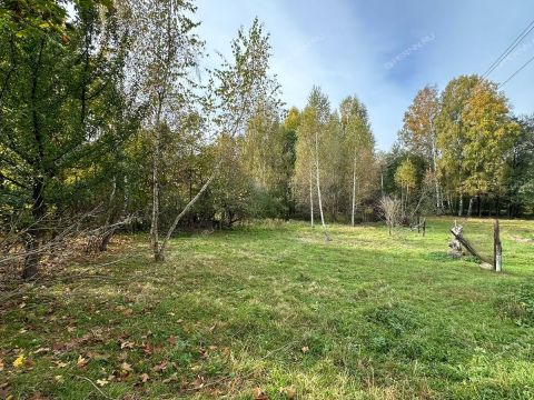 gorod-bor-gorodskoy-okrug-bor фото