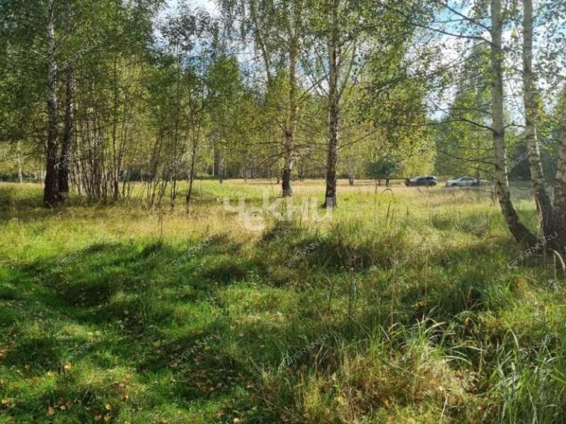 земельный участок 15 соток село Каменка