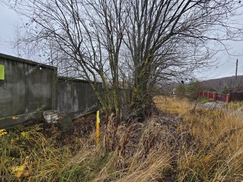 selo-kadnicy-kstovskiy-rayon фото