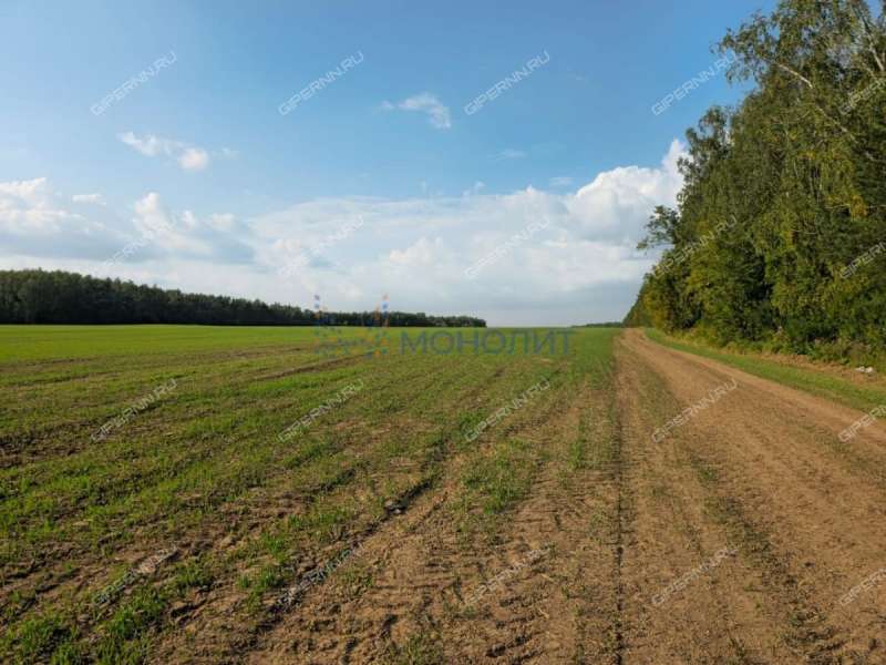 земельный участок под сельхоз назначение в Дальнеконстантиновском районе Нижегородской области