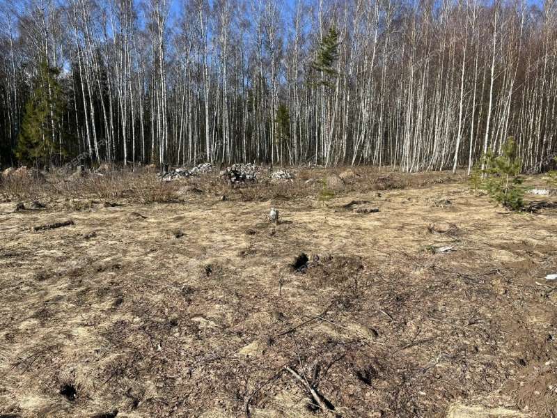 земельный участок под сельхоз назначение в Городецком районе Нижегородской области
