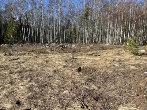 derevnya-soboliha-gorodeckiy-rayon фото