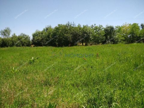 rabochiy-poselok-maloe-kozino-balahninskiy-municipalnyy-okrug фото