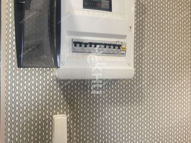 трёхкомнатная квартира на улице Льва Толстого дом 3