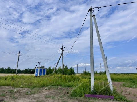 dom-derevnya-kalikino-gorodskoy-okrug-bor фото