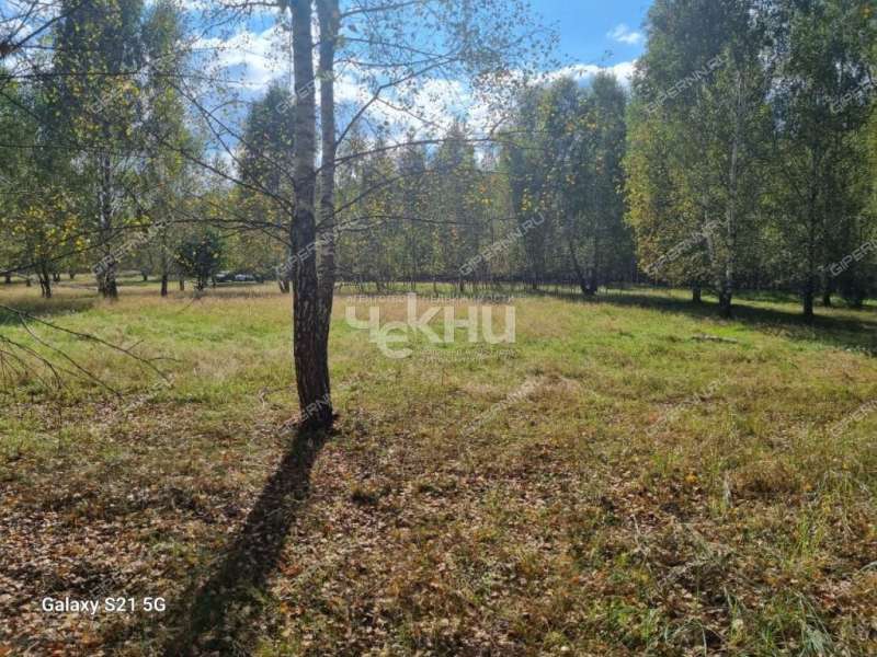 земельный участок 15 соток село Каменка