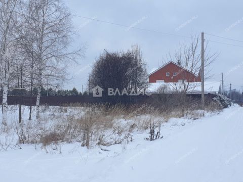 derevnya-vybolovo-bogorodskiy-municipalnyy-okrug фото