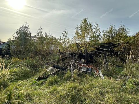 gorod-bor-gorodskoy-okrug-bor фото